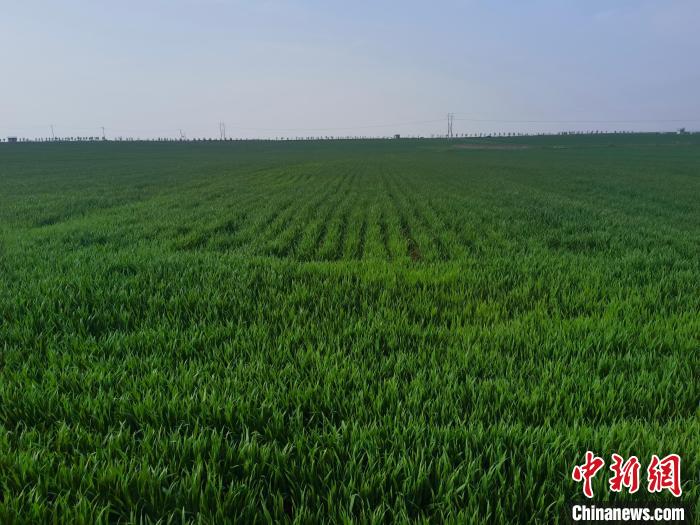 陕西省一季度经济有“稳”有“进”回暖回升明显